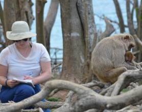 Monkeys in Puerto Rico