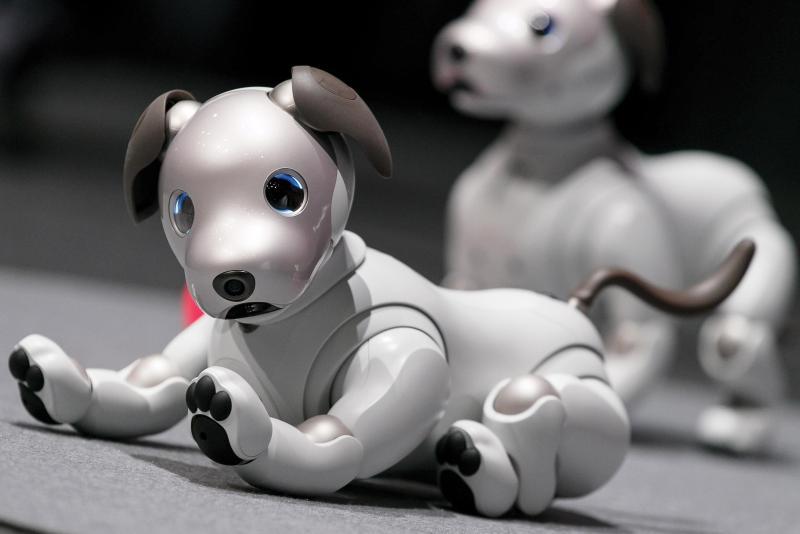 Robot Puppies